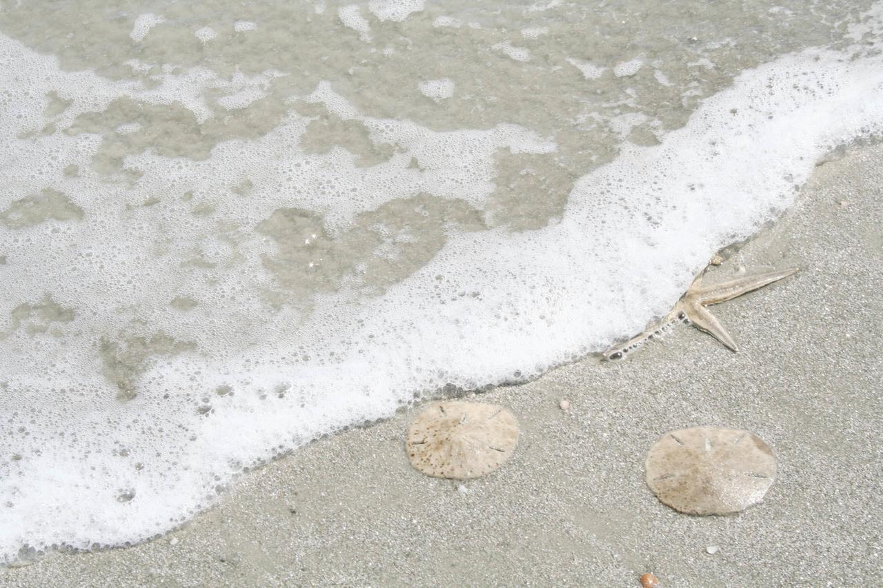 Sea Spray 1 Villa Hilton Head Island Exterior photo